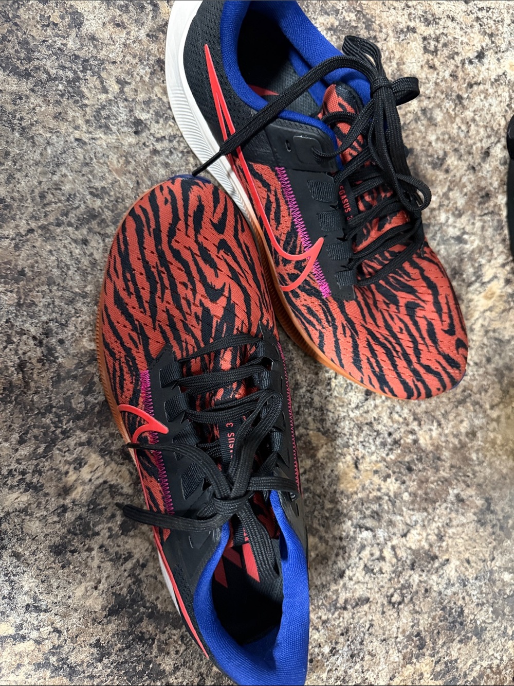 New Nike Pegasus